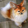 If Pokemon were real: Flareon