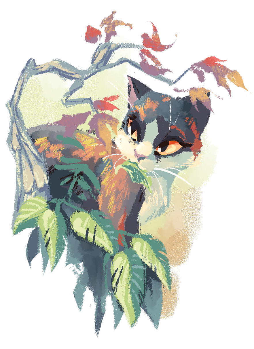 Spottedleaf Falling Spottedleaf by Bedupolker on DeviantArt