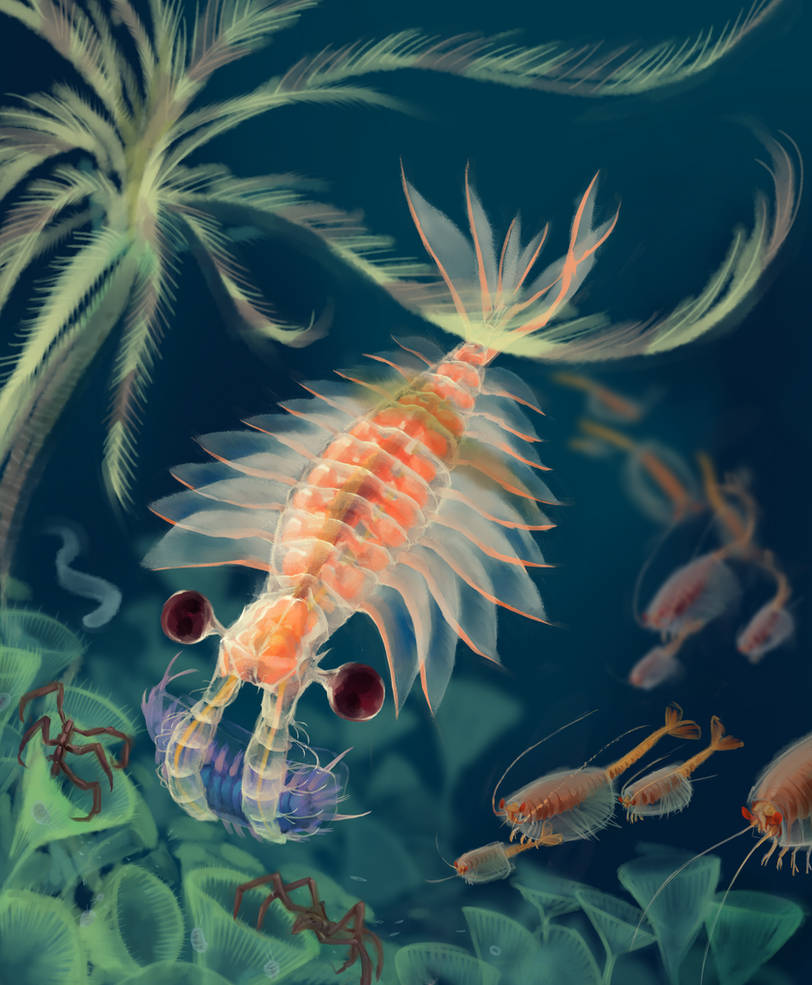 Anomalocaris Reconstruction