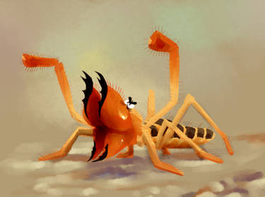 Solifu Explore the Best Solifugae Art | DeviantArt