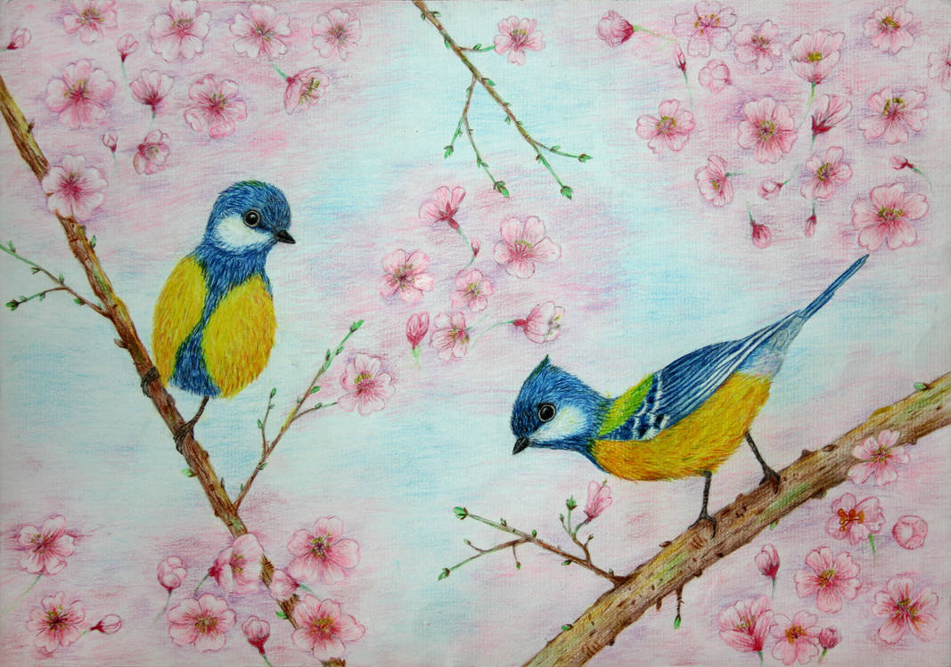 Весенние птицы рисунок. Птица рисунок. Синица цветными карандашами. Весенние рисунки. Рисование весенних птиц.