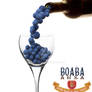 b o a b a arsa