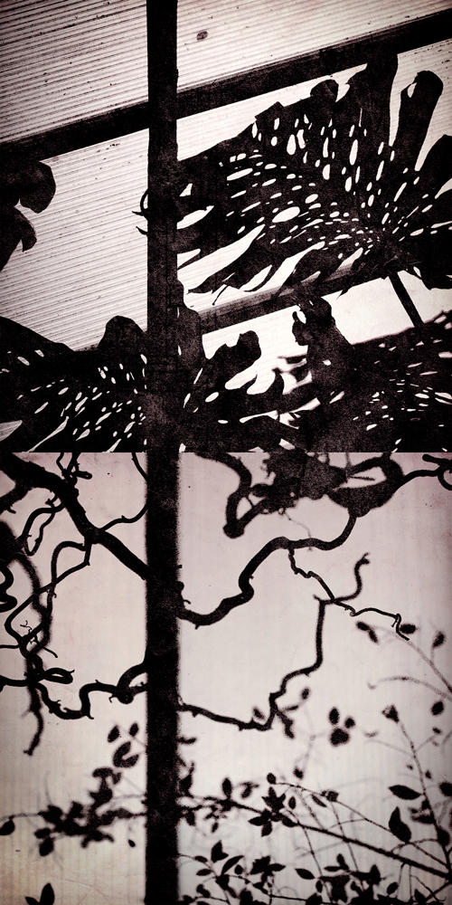 roots ii by NewChord on DeviantArt