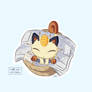 Take good care of Meowth