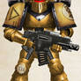 WH30K - Imperial Fists Tactical Marine (Mk II)