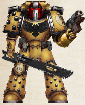 WH30K - Imperial Fists Tactical Vet Sgt. (Mk III)