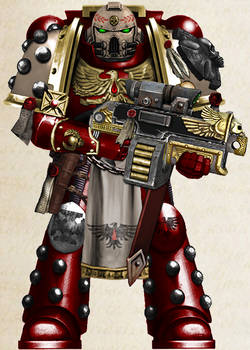 WH40K - Blood Ravens 1st Co. Sternguard Veteran