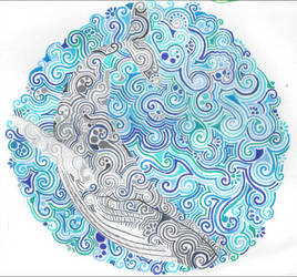 Humpback Whale