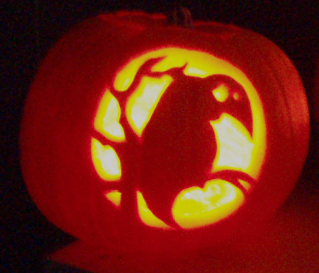 bird on a branch pumpkin