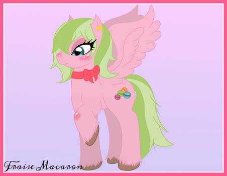 Fraise Macaron: Ponysona