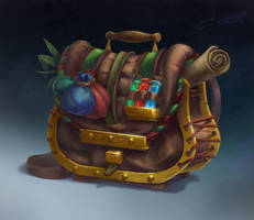 Healer's bag