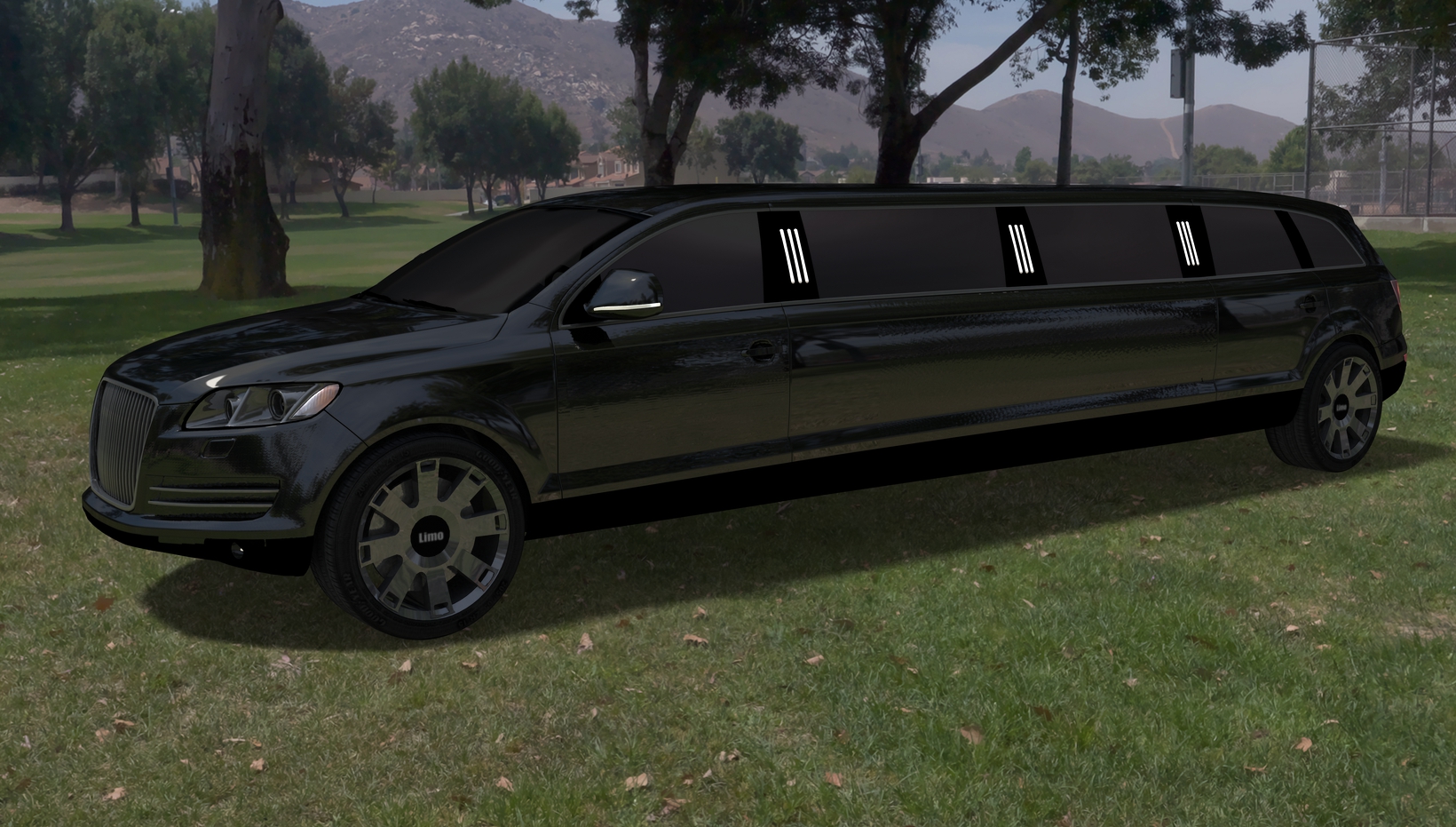 Limousine luxury