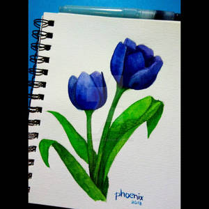 blue tulips