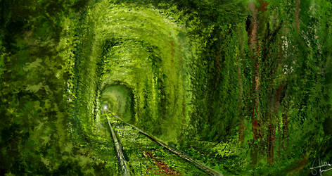 Tunnel of Love - Environmental study