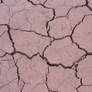 Mud Texture - 1
