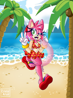 Amy Rose in Beach