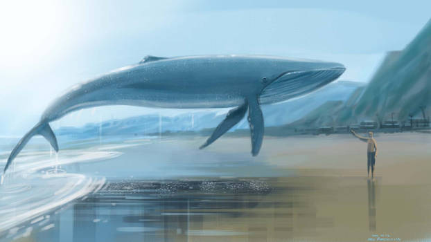 Blue Whale dream