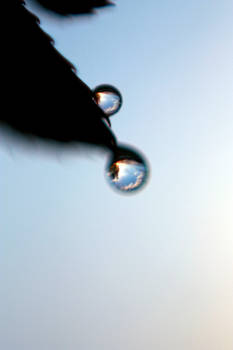 Sunset in a Drop