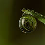 Natural Refraction 6