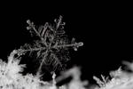 Snow Flake 2 by Alliec