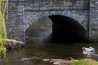 Stone Bridge