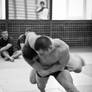 Grappling series V