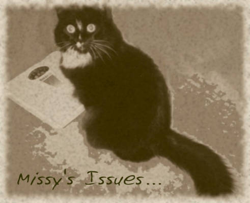 Missy's Issues