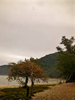 Beach in Autumn