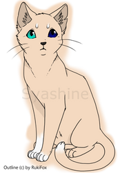 Beige Cat -Colouring