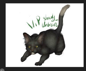 Little Ravenpaw