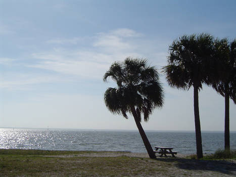 Tampa beach