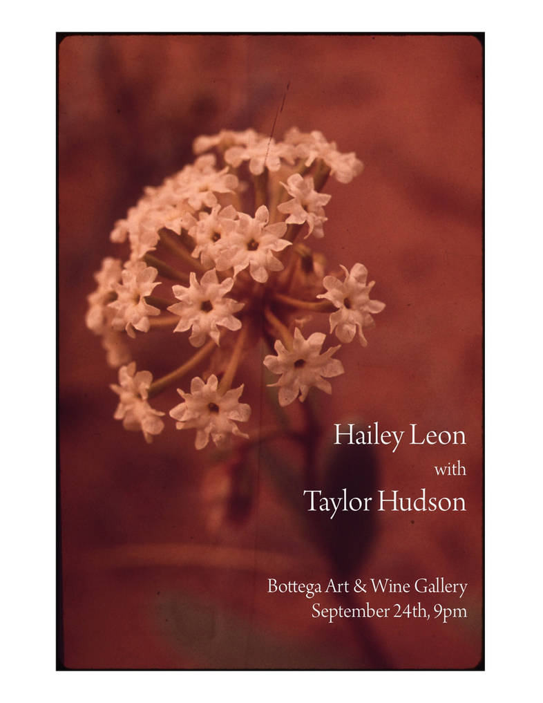 Haley Springston Hailey Poster by RobertELeon on DeviantArt
