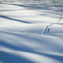 Path through the snowbanks