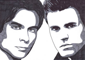 Damon And Stefan Salvatore