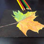Leaf Water Painting