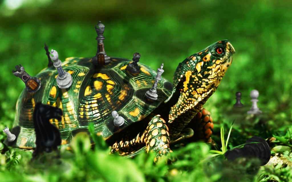 Chess Turtle by StephysaurusRex on DeviantArt