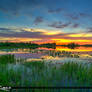 Sunset-at-Small-Lake-in-Martin-County