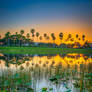 Palm-Beach-Gardens-Mall-Sunset-at-Lake
