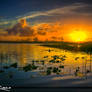 Florida-Wetlands-Sunset-along-the-River