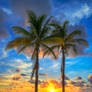 Florida-Sunrise-at-Beach-with-Coconut-Trees
