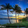 Coconut-Tree-Sunset-at-Jupiter-Island-Florida