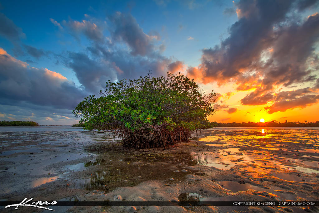 John-D.-MacArthur-Beach-State-Park-Sunset