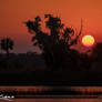 Florida-Sunset-Wetlands-Pine-Glades-Natural-Area