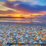 Jupiter-Inlet-Seashells-Sunrise-at-the-Jetty