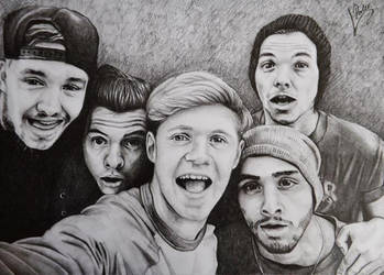 One Direction Selfie