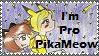 .::Pro PikaMeow For Val::. by ReverseTheEclipse