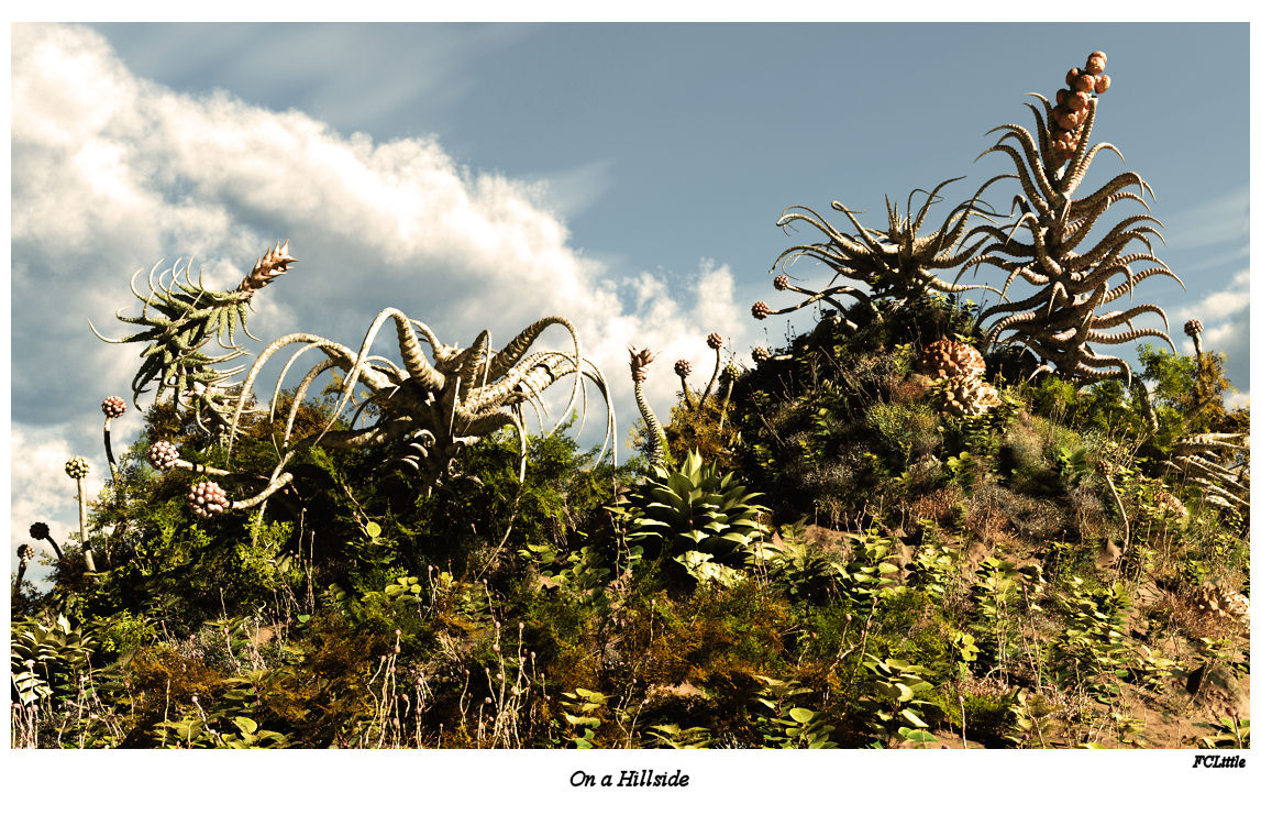 On a Hillside