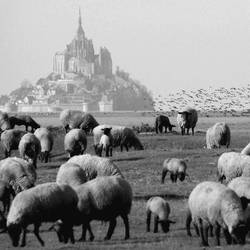 Mont St Michel III