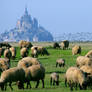 Mont st michel II