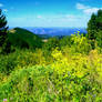 August in Bulgarian Mountains